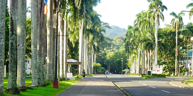 laguna